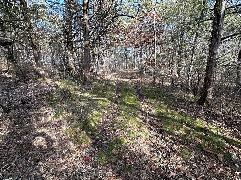main property photo 37