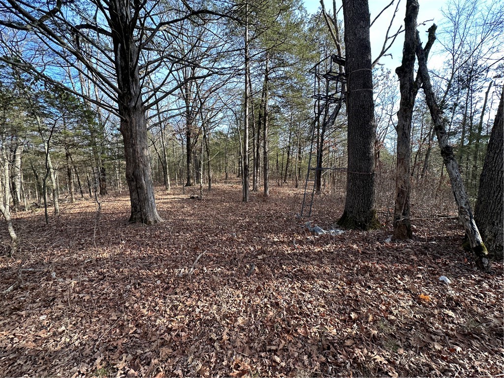 main property photo 38