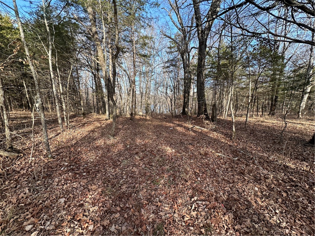 main property photo 39