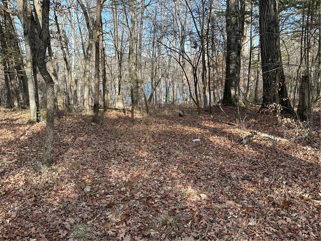 main property photo 40