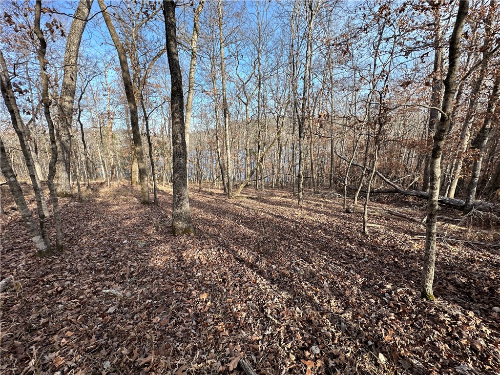 main property photo 42