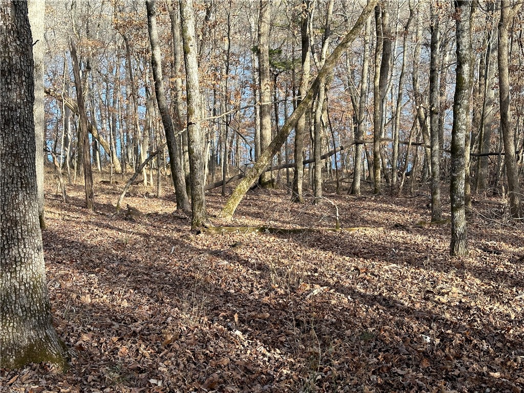 main property photo 43