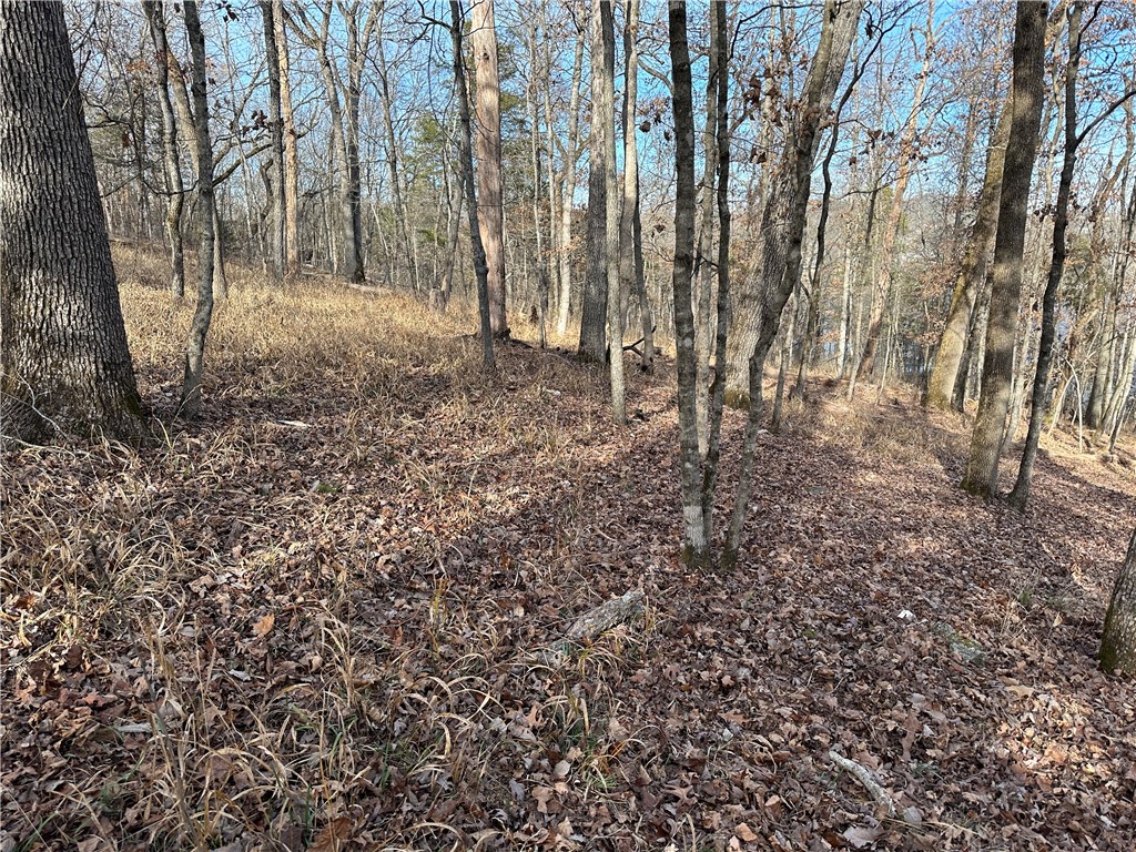 main property photo 44