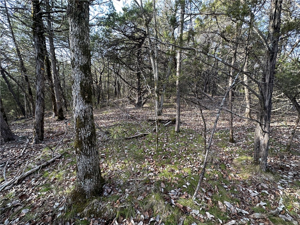 main property photo 45