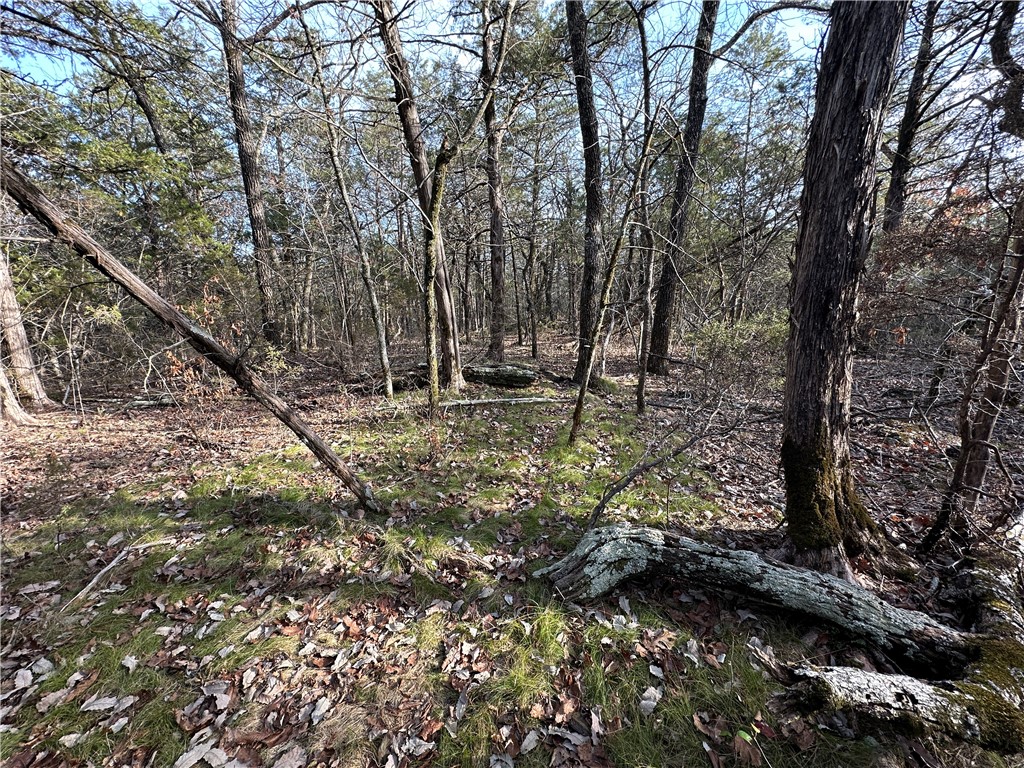 main property photo 46