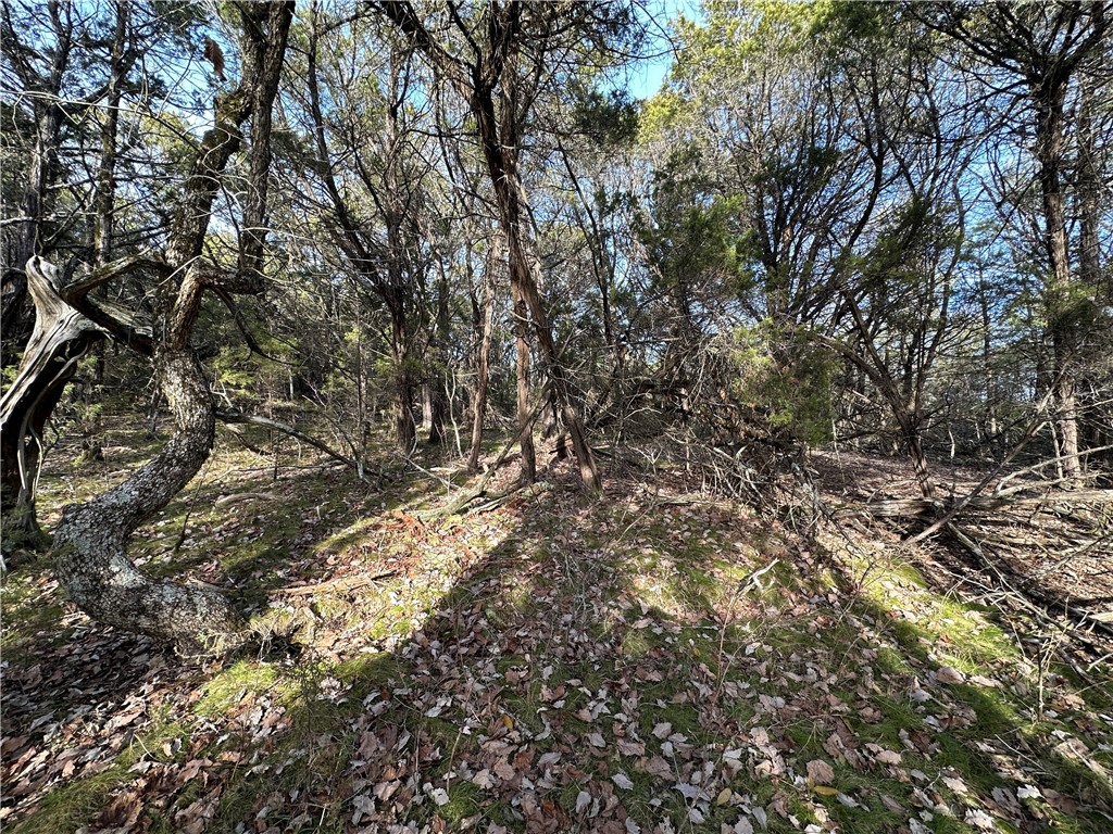 main property photo 47