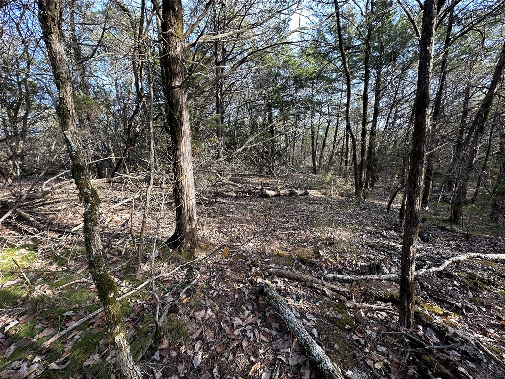 main property photo 48