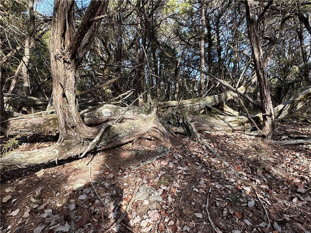main property photo 49