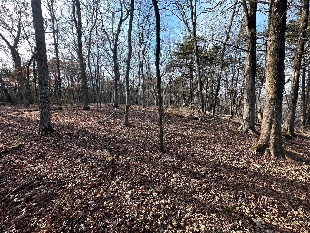 main property photo 52