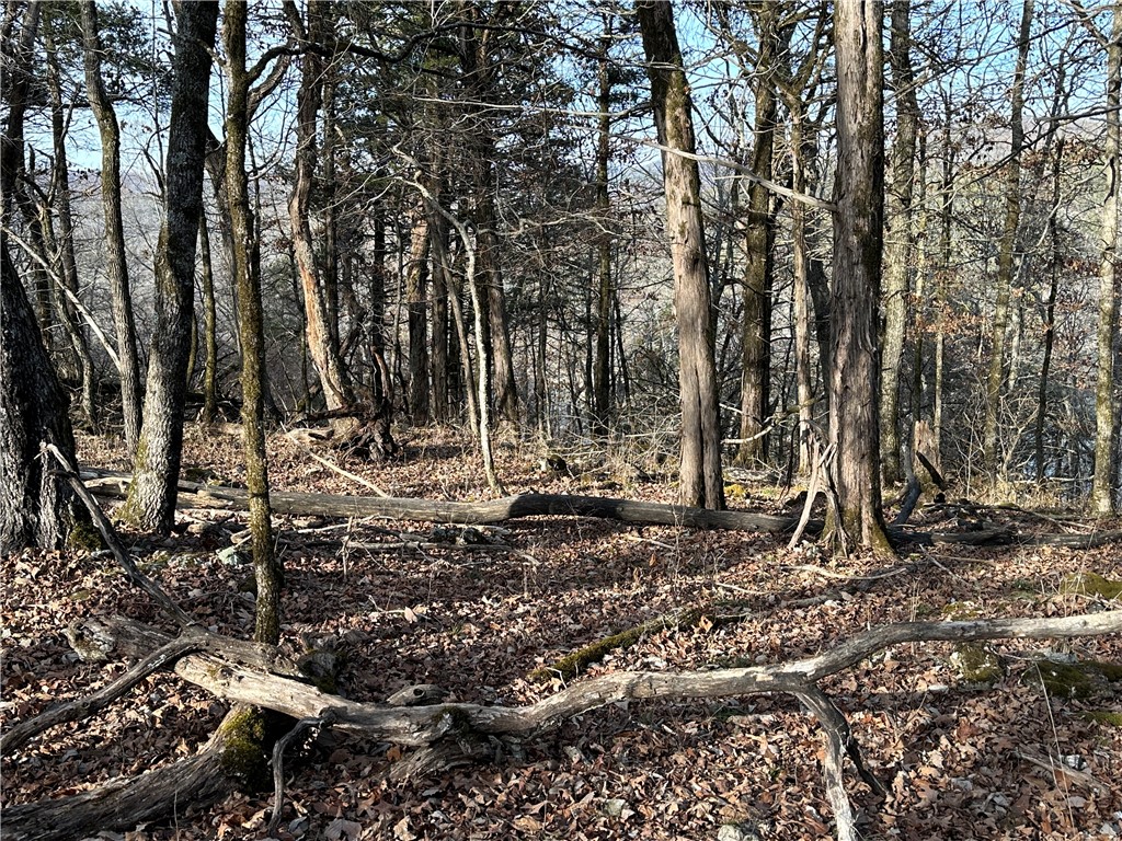 main property photo 53