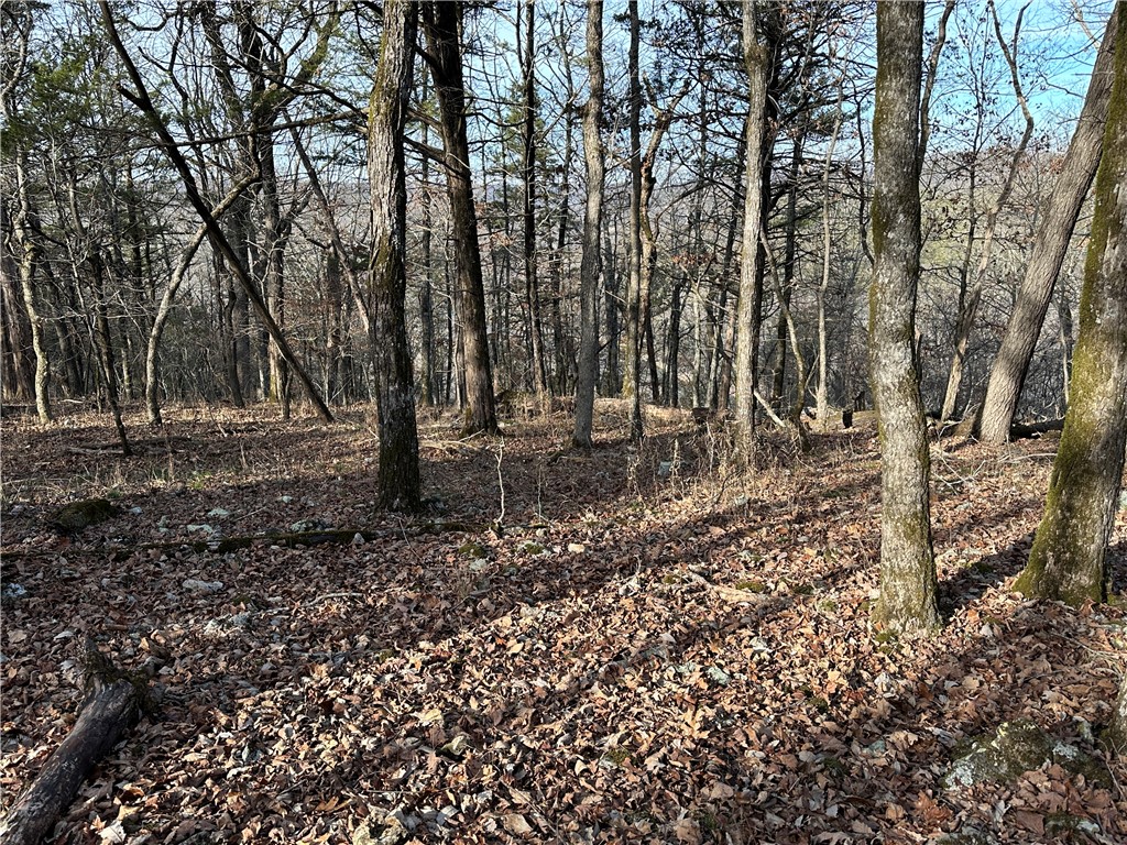 main property photo 54