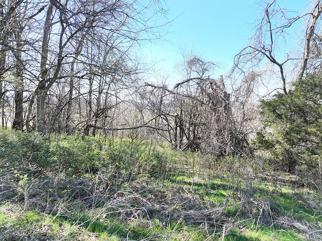 main property photo 14