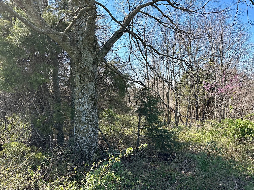 main property photo 17