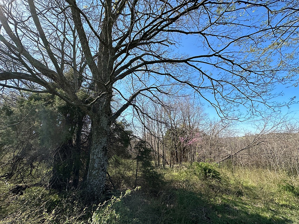 main property photo 18