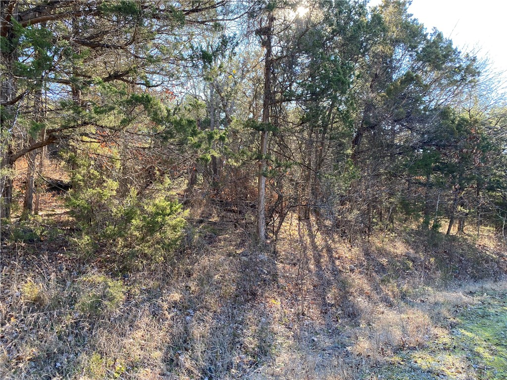 main property photo 6