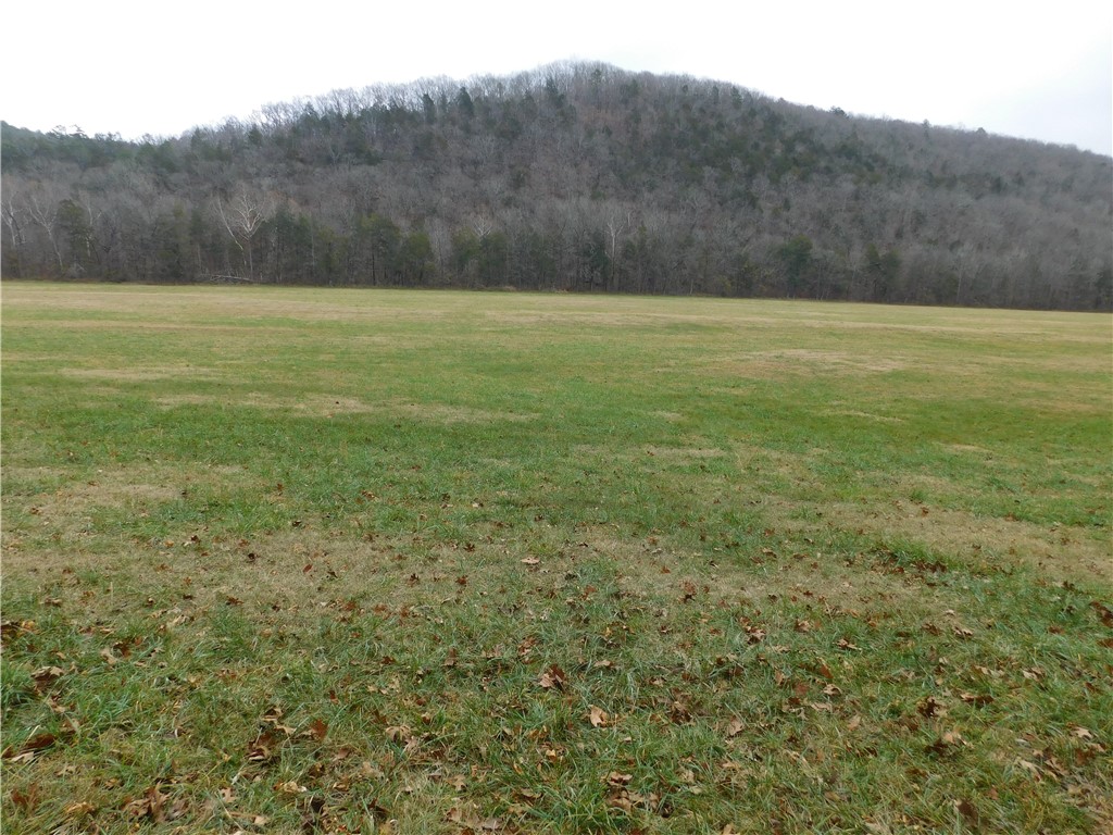 main property photo 24