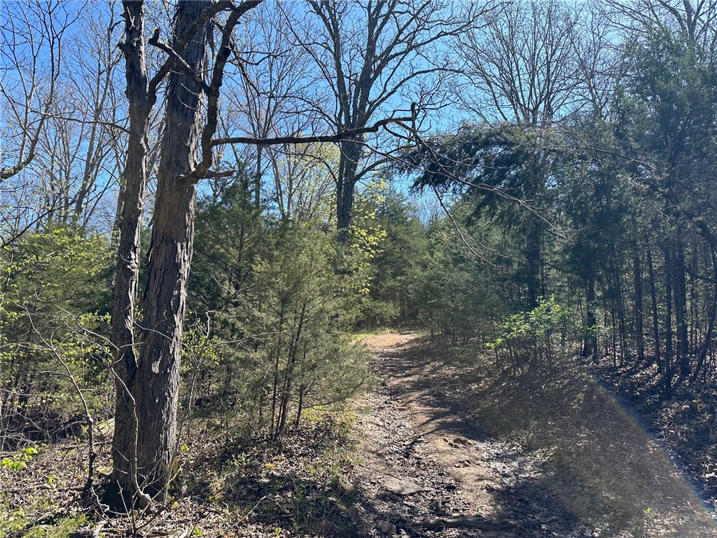 main property photo 10