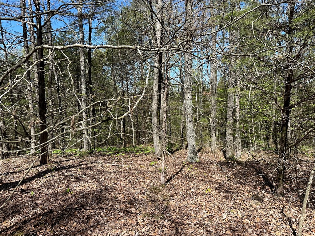 main property photo 16