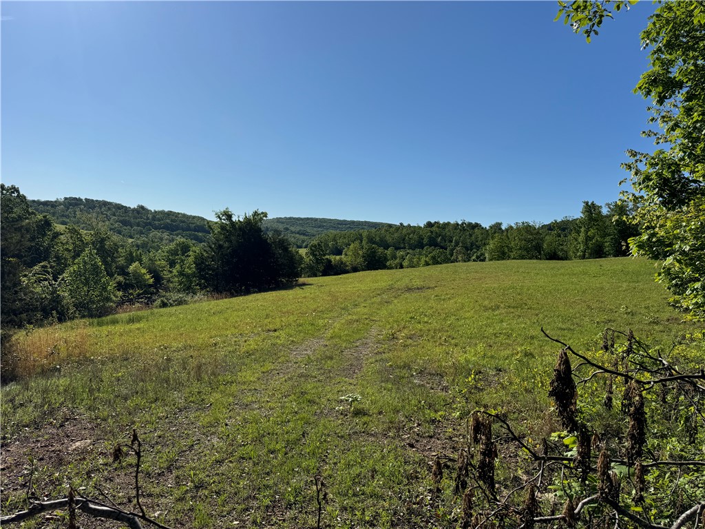 main property photo 10