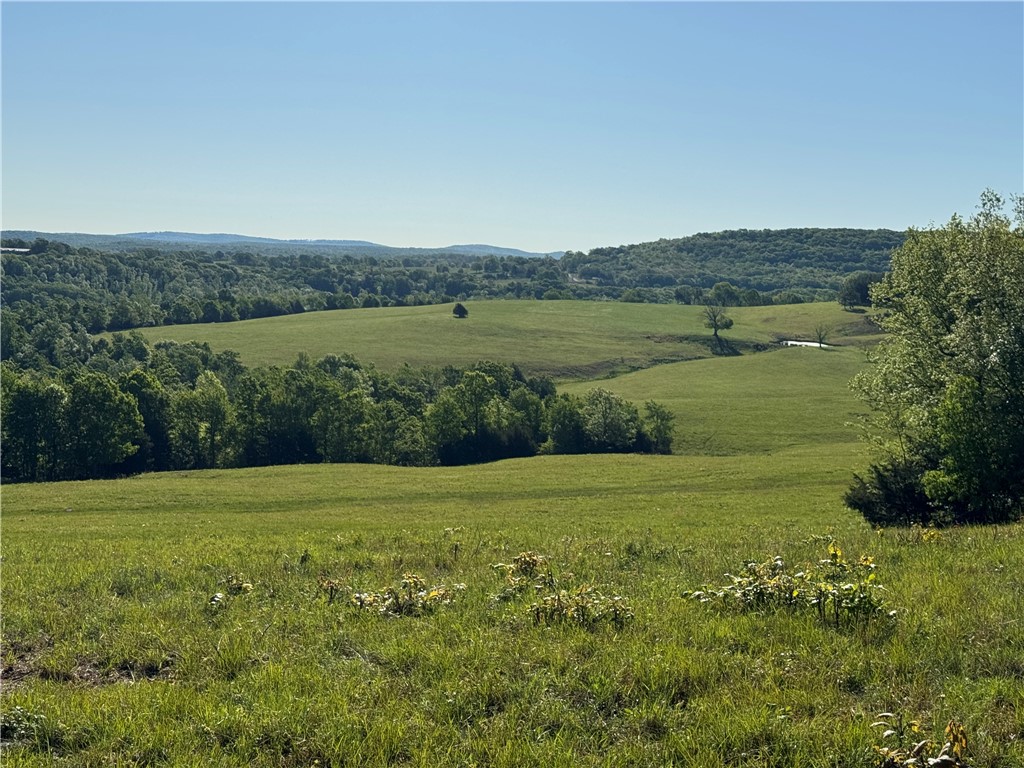 main property photo 11