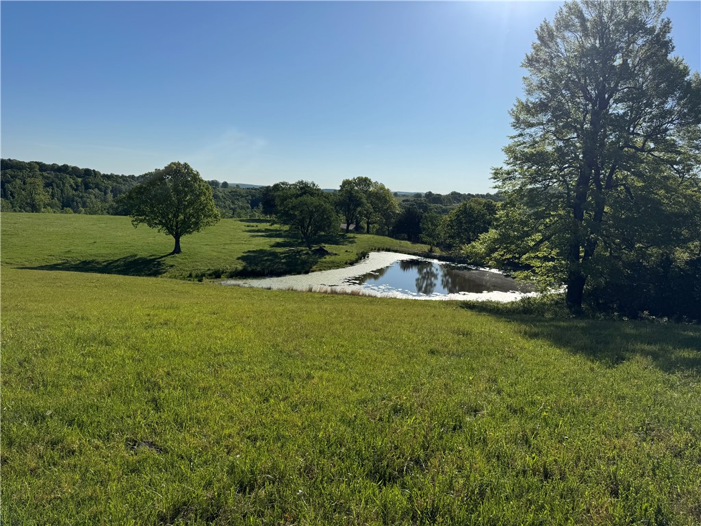 main property photo 13