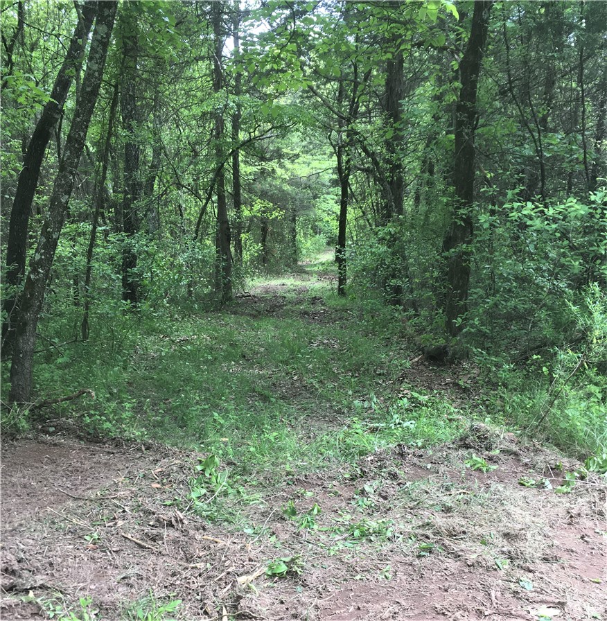 main property photo 7