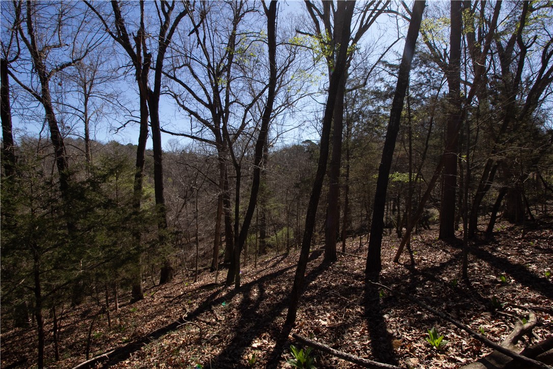 main property photo 52