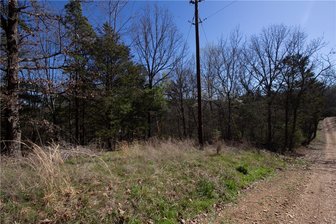 main property photo 53