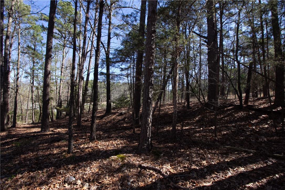 main property photo 24
