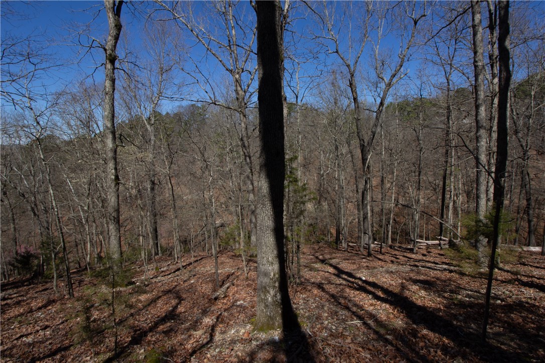 main property photo 10