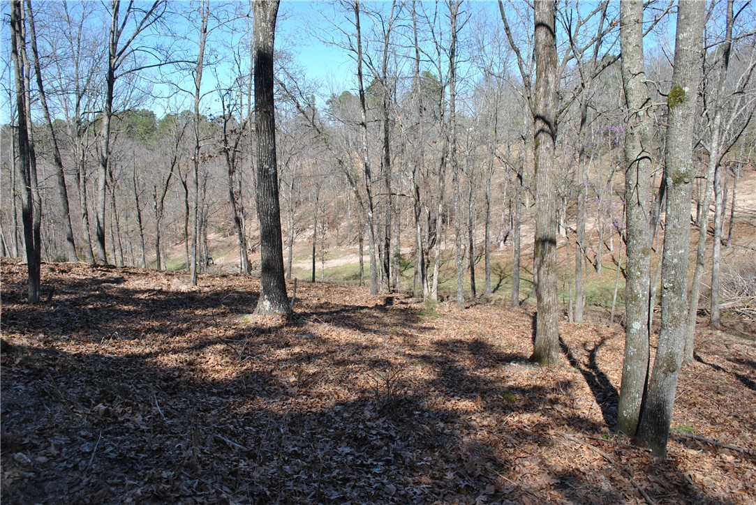 main property photo 31