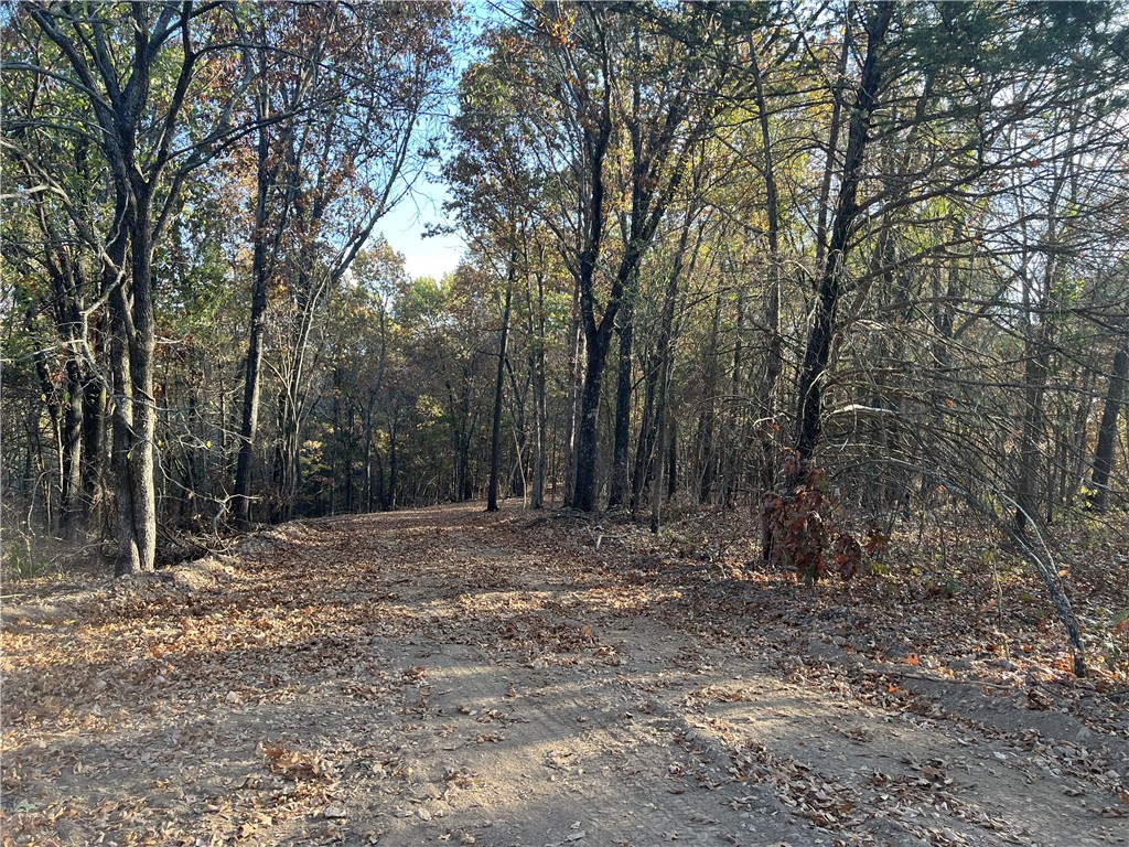 main property photo 14