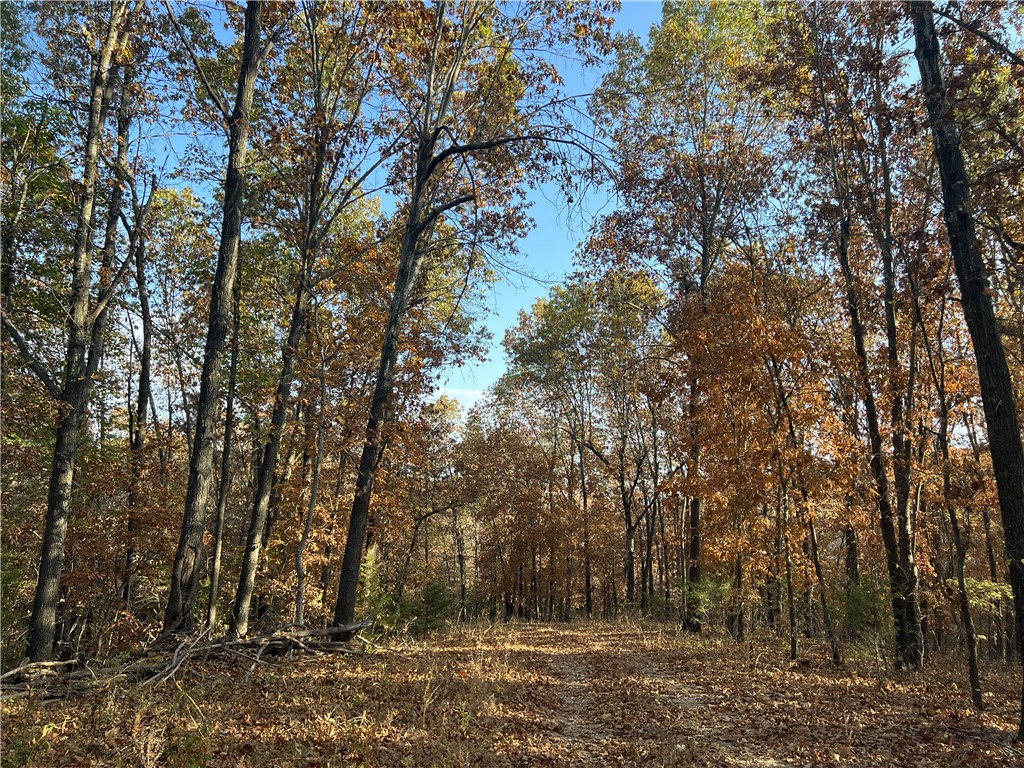 main property photo 7