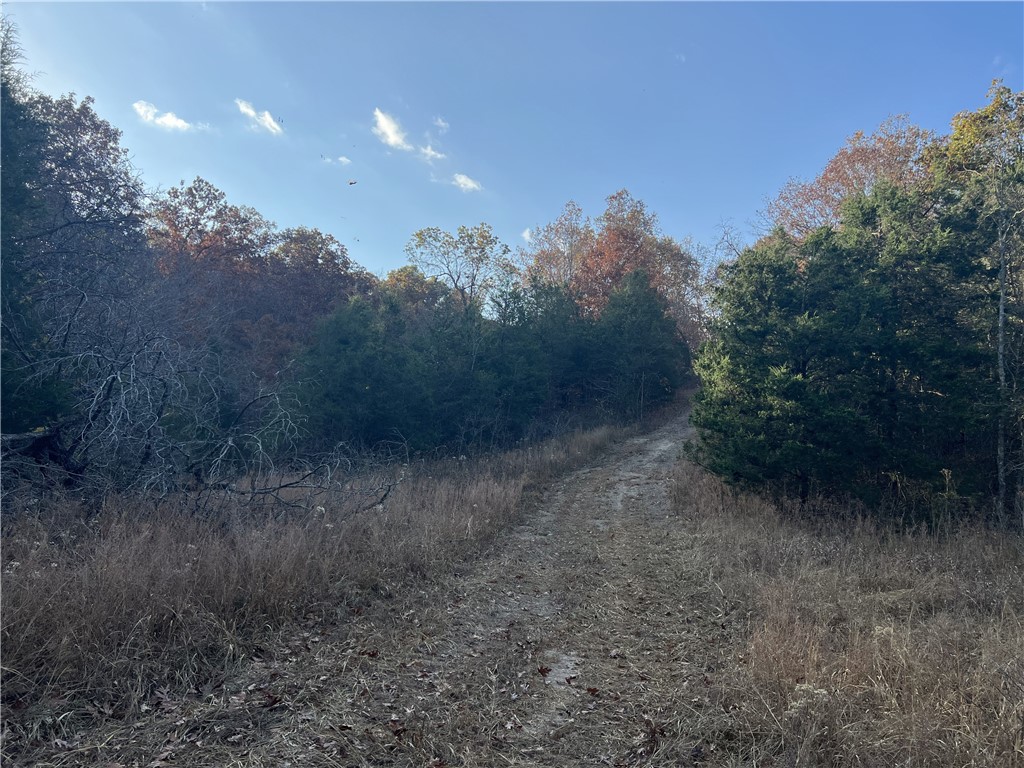 main property photo 9
