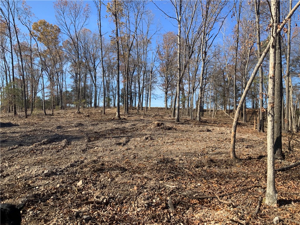 main property photo 12