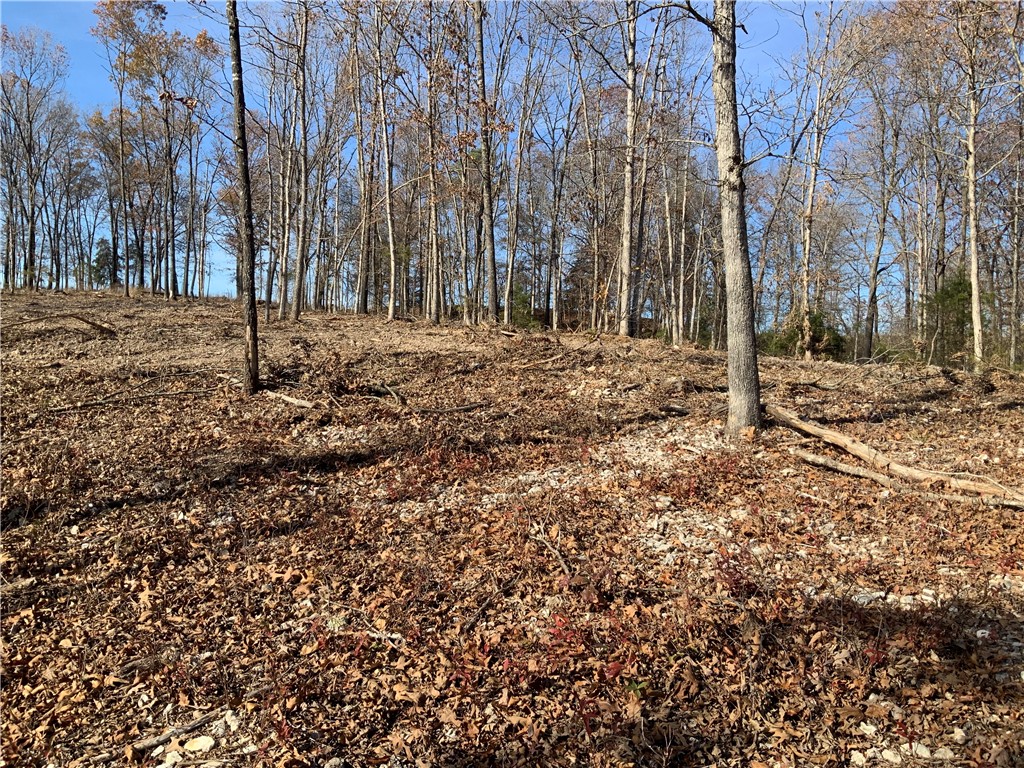 main property photo 17