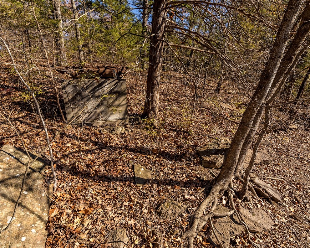 main property photo 13