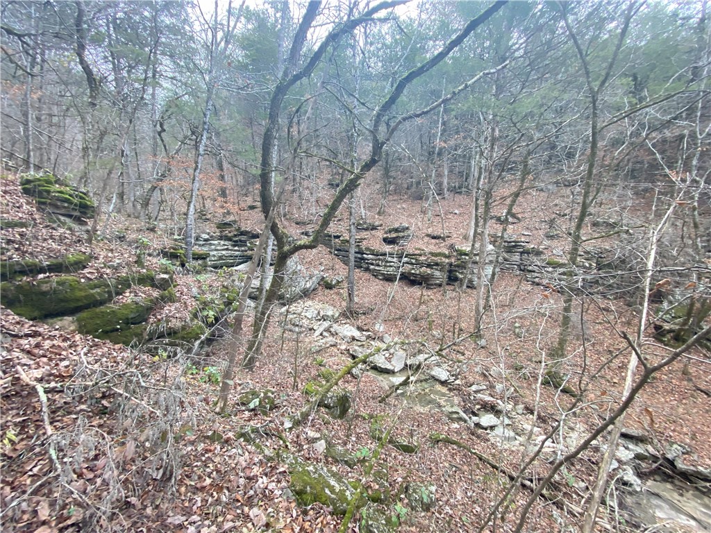 main property photo 11