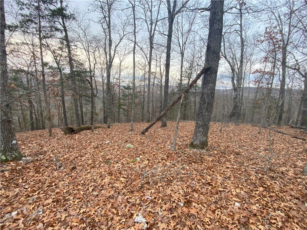 main property photo 18