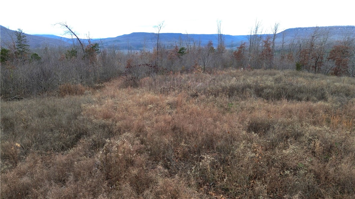 main property photo 25
