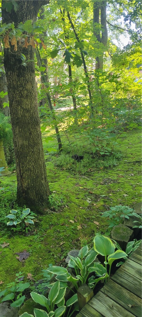 property viewer photo 37