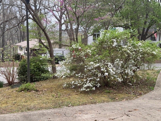 property viewer photo 39