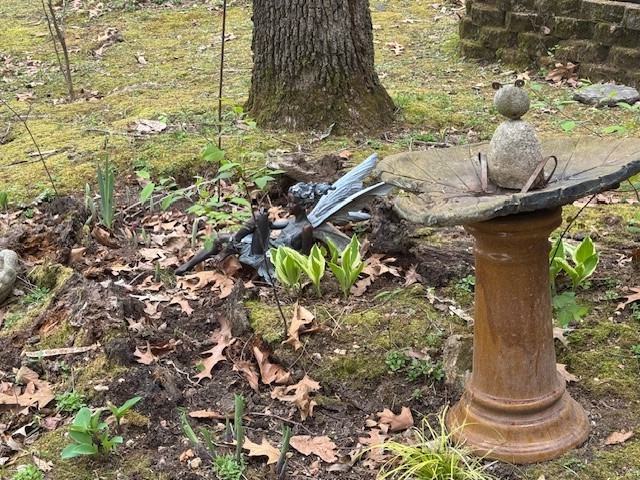 property viewer photo 40