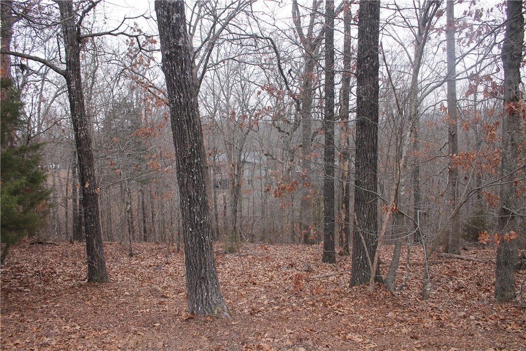 property viewer photo 1