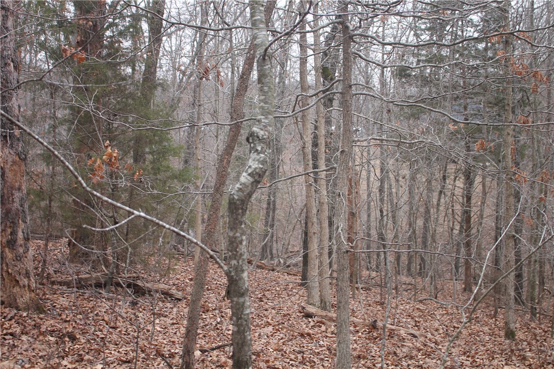 property viewer photo 2