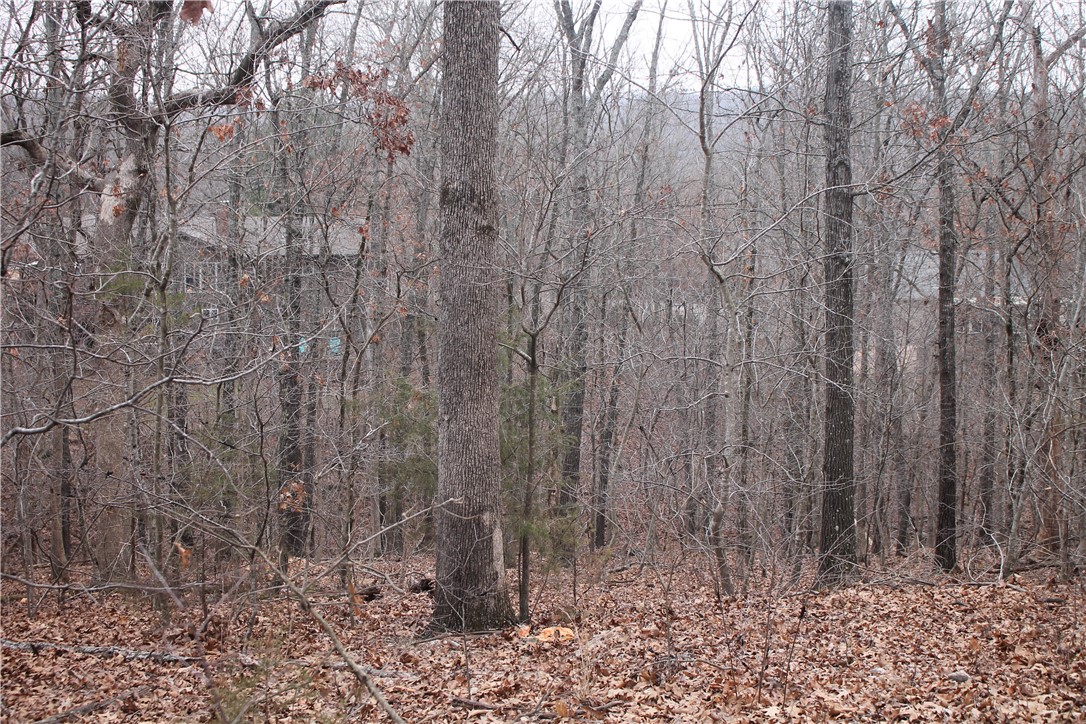 property viewer photo 3