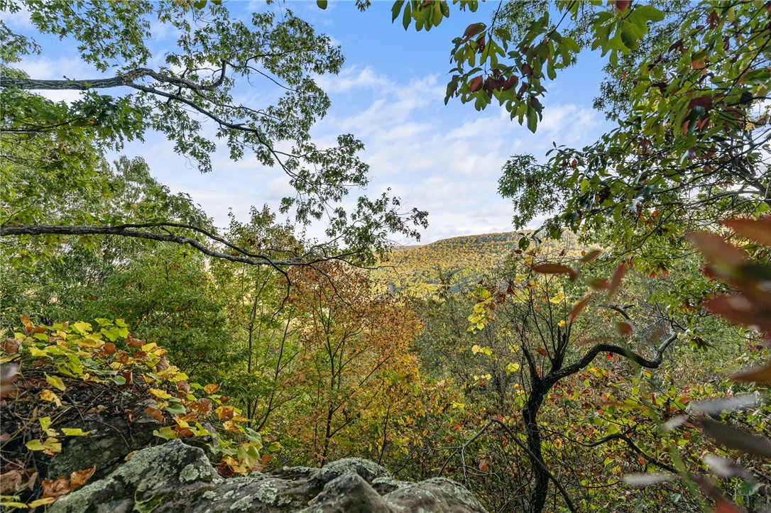main property photo 53
