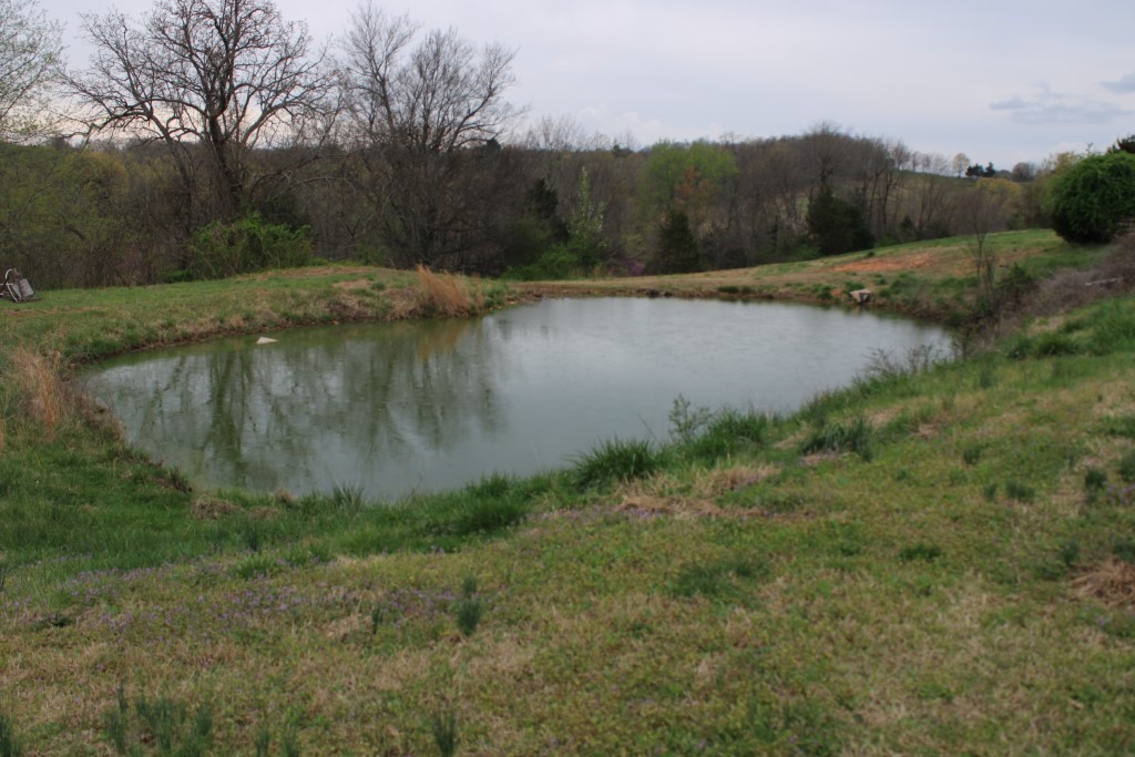 main property photo 14