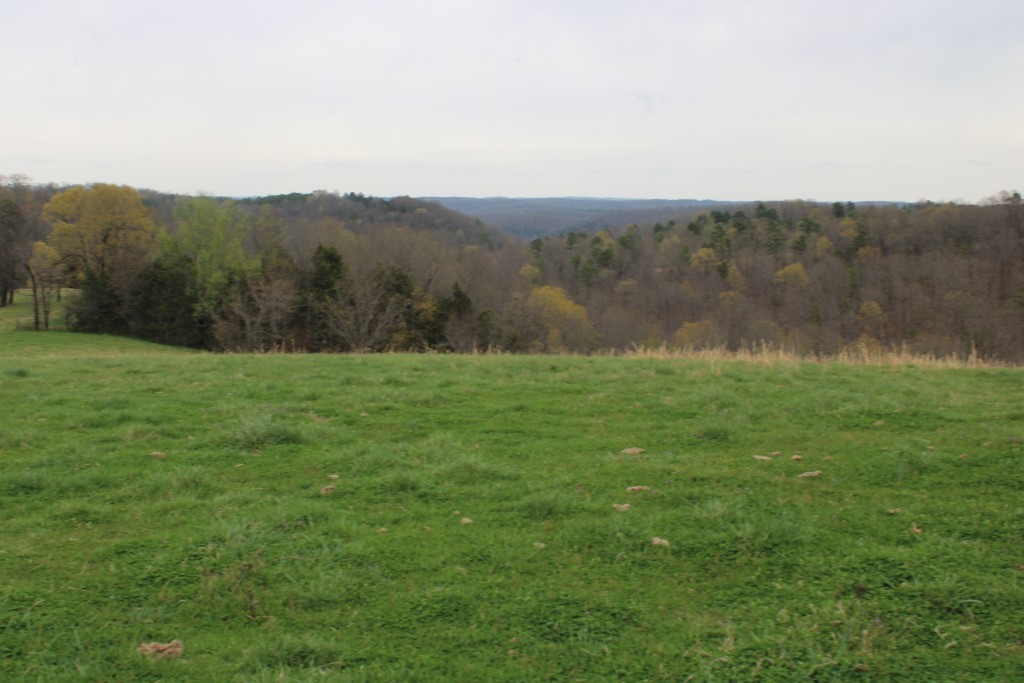 main property photo 27