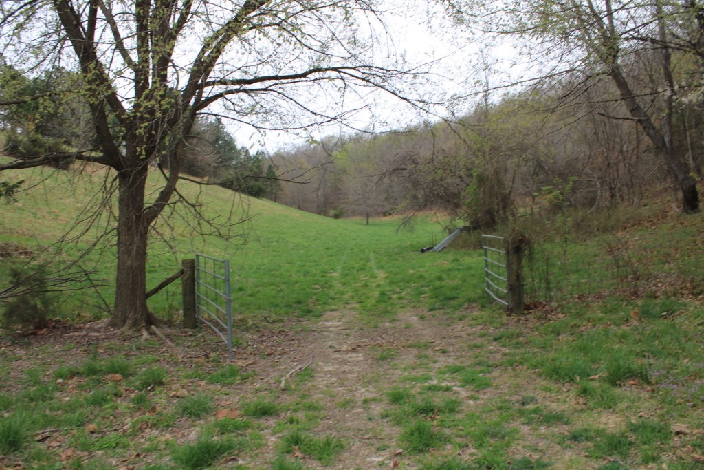 main property photo 35